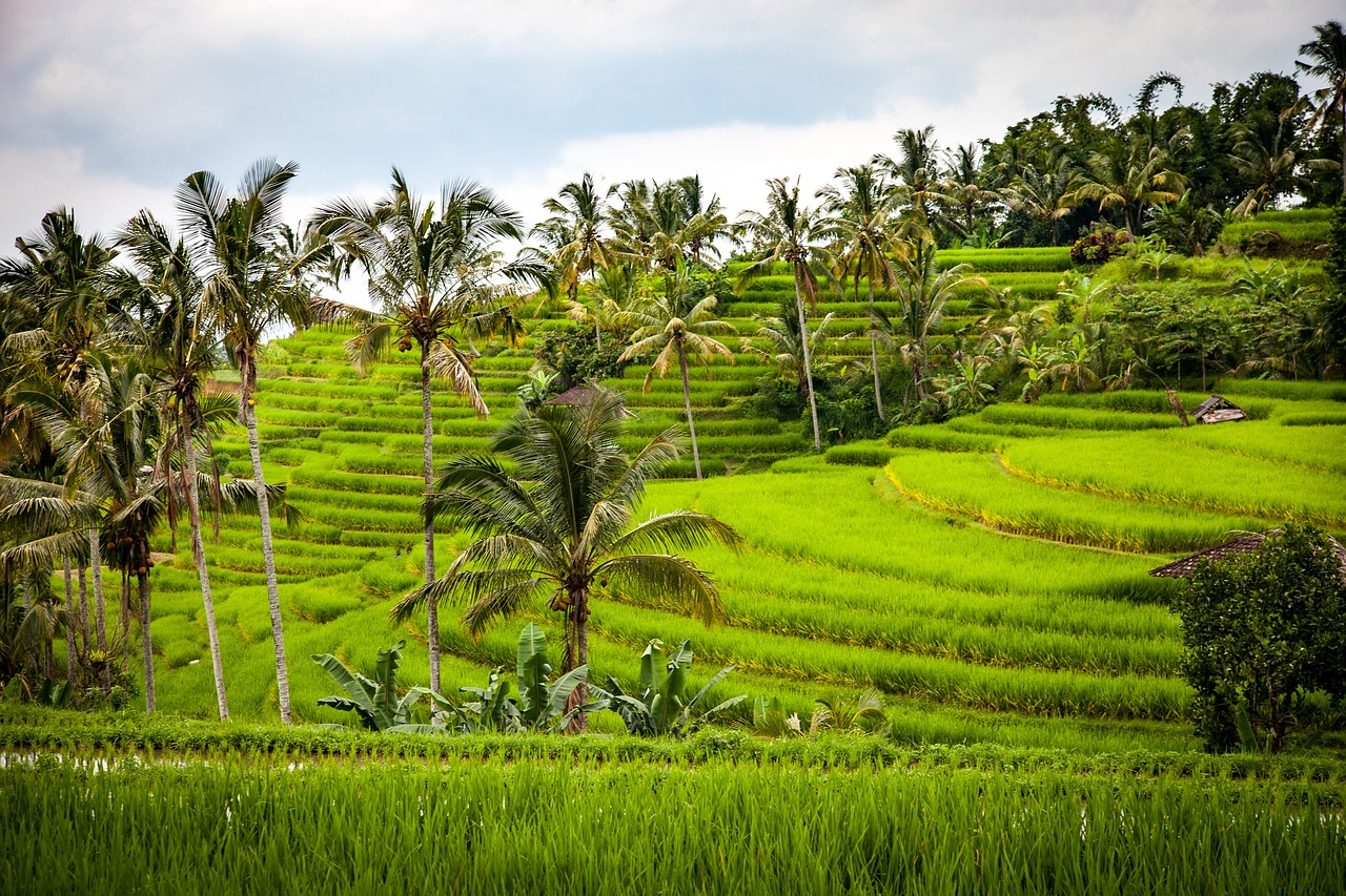 Post: Bali – rajsko ostrvo i biser Indonezije u pirinčanim poljima